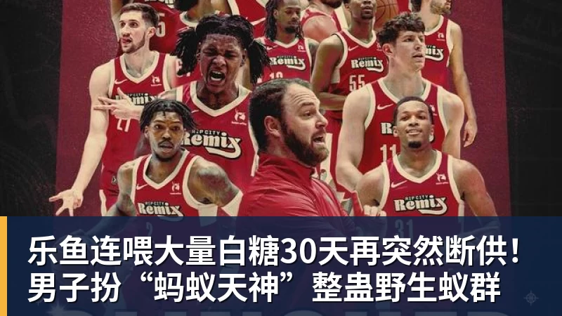 乐鱼连喂大量白糖30天再突然断供！男子扮“蚂蚁天神”整蛊野生蚁群
